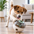 Interactive Treat Dispenser