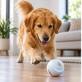 Smart Motion Ball