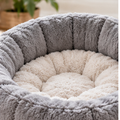2-in-1 Tunnel & Bed